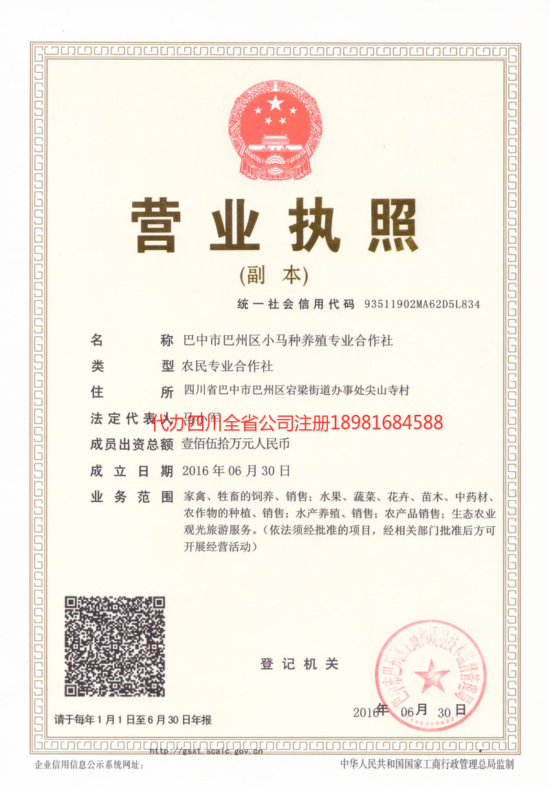 磐石磐石小马种养殖专业合作社